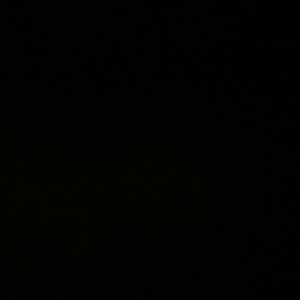 Meet your Posher, Fred